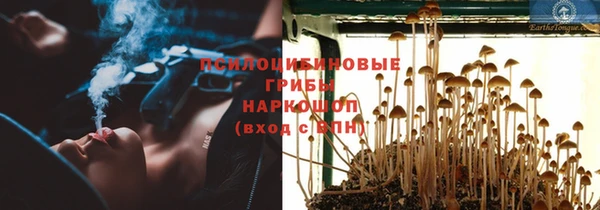 кокс Богородицк