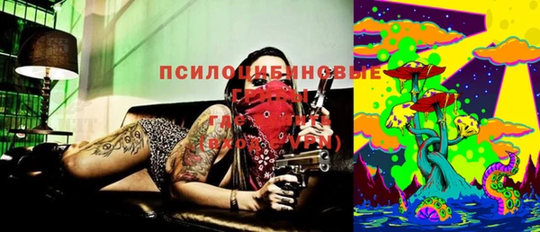 кокс Богородицк
